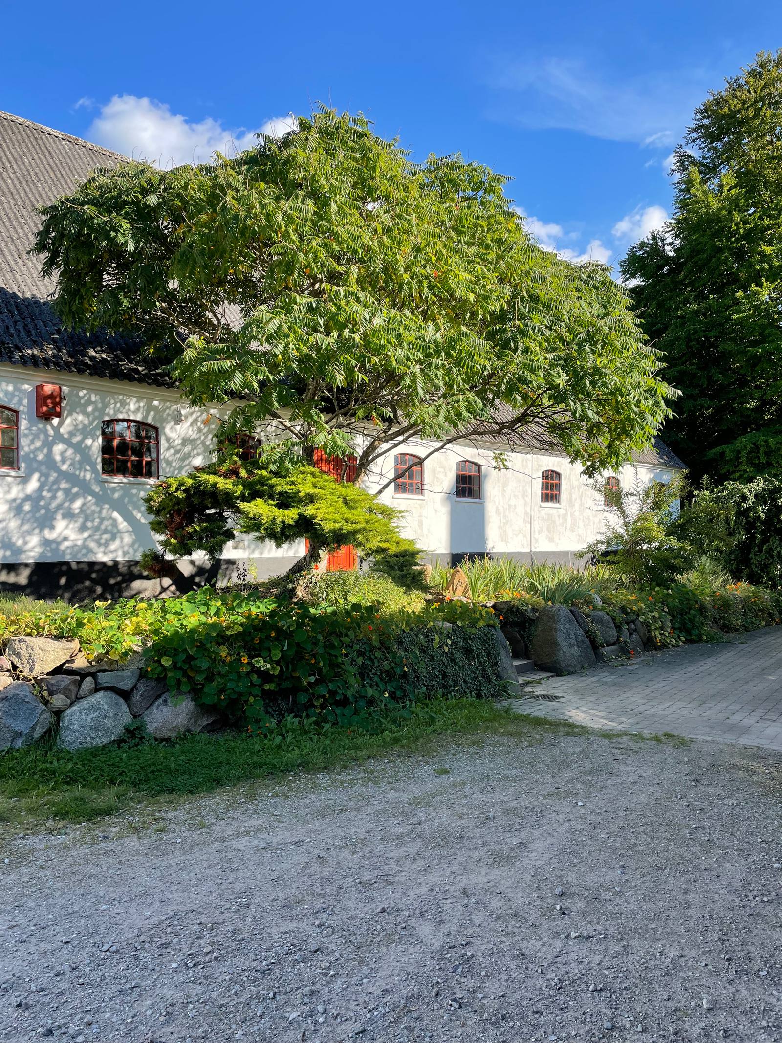 Den hvide bygning med blomstrende tallerkensmækker langs stendiget.